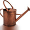 1 Gallon Watering Can, Copper Watering Can, Metal Watering Can with Removable Spout, Galvanized Watering Can, Perfect Plant Watering Can for Indoor and Outdoor