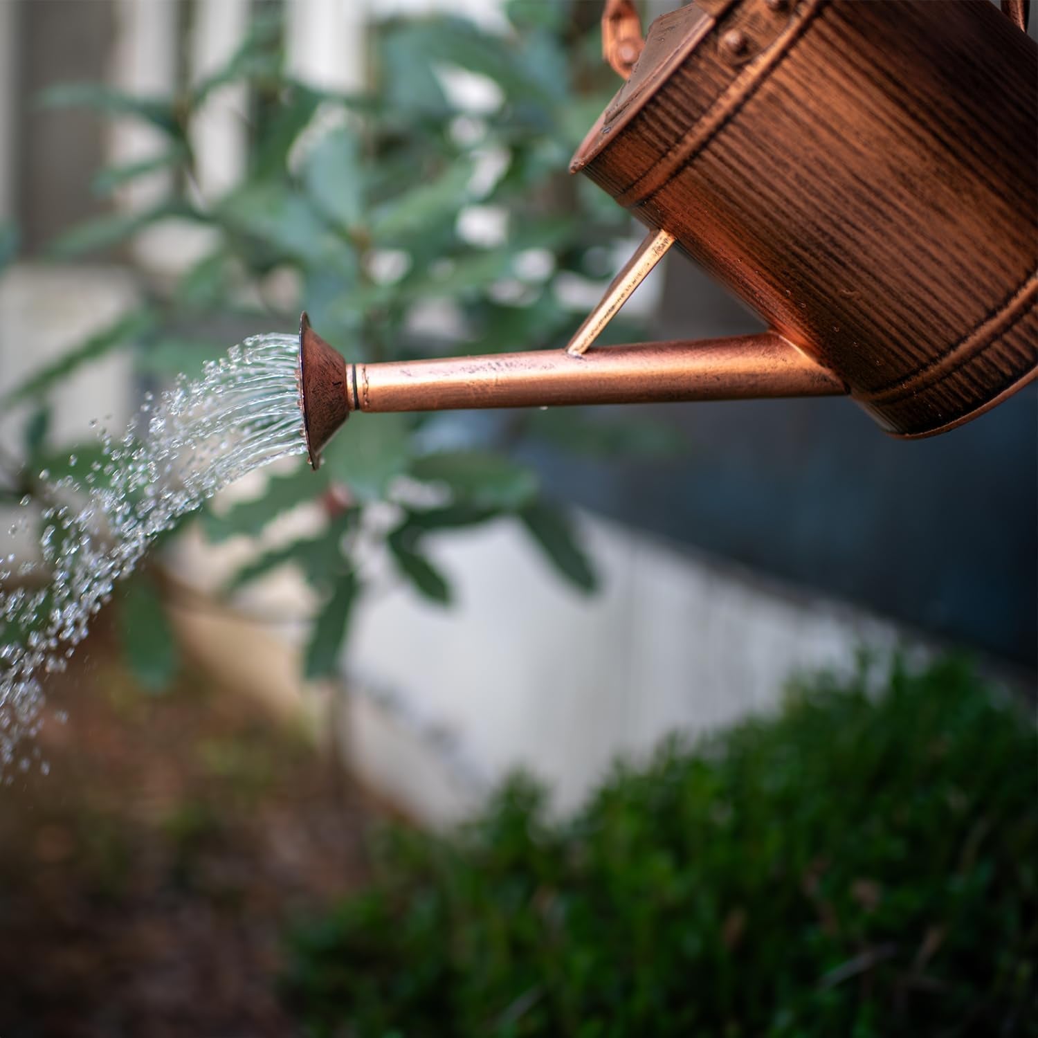 1 Gallon Watering Can, Copper Watering Can, Metal Watering Can with Removable Spout, Galvanized Watering Can, Perfect Plant Watering Can for Indoor and Outdoor