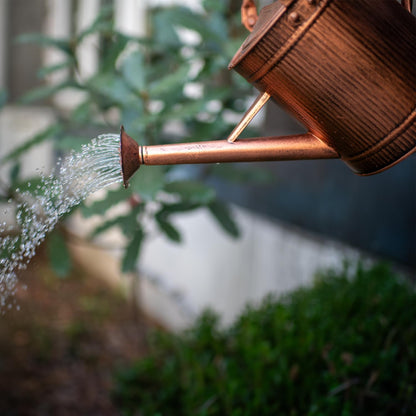 1 Gallon Watering Can, Copper Watering Can, Metal Watering Can with Removable Spout, Galvanized Watering Can, Perfect Plant Watering Can for Indoor and Outdoor