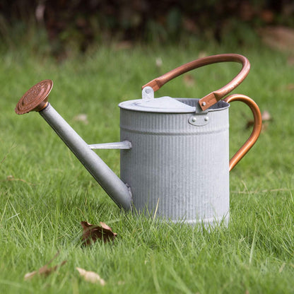 1 Gallon Watering Can, Copper Watering Can, Metal Watering Can with Removable Spout, Galvanized Watering Can, Perfect Plant Watering Can for Indoor and Outdoor