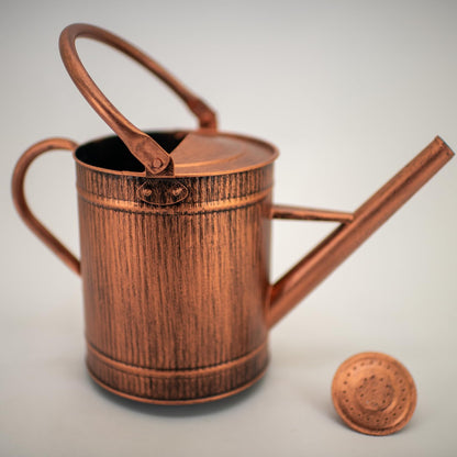 1 Gallon Watering Can, Copper Watering Can, Metal Watering Can with Removable Spout, Galvanized Watering Can, Perfect Plant Watering Can for Indoor and Outdoor