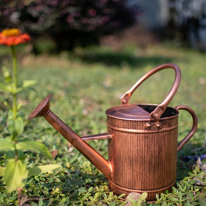 1 Gallon Watering Can, Copper Watering Can, Metal Watering Can with Removable Spout, Galvanized Watering Can, Perfect Plant Watering Can for Indoor and Outdoor