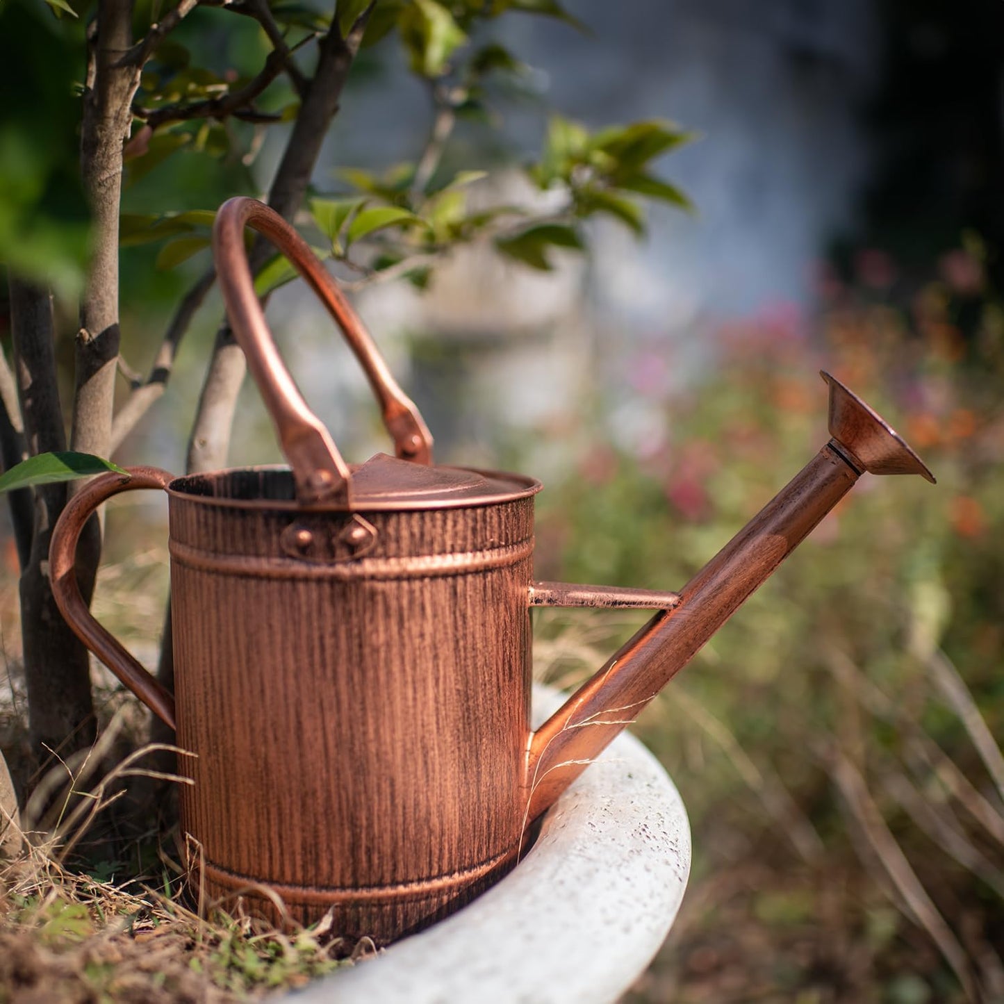 1 Gallon Watering Can, Copper Watering Can, Metal Watering Can with Removable Spout, Galvanized Watering Can, Perfect Plant Watering Can for Indoor and Outdoor